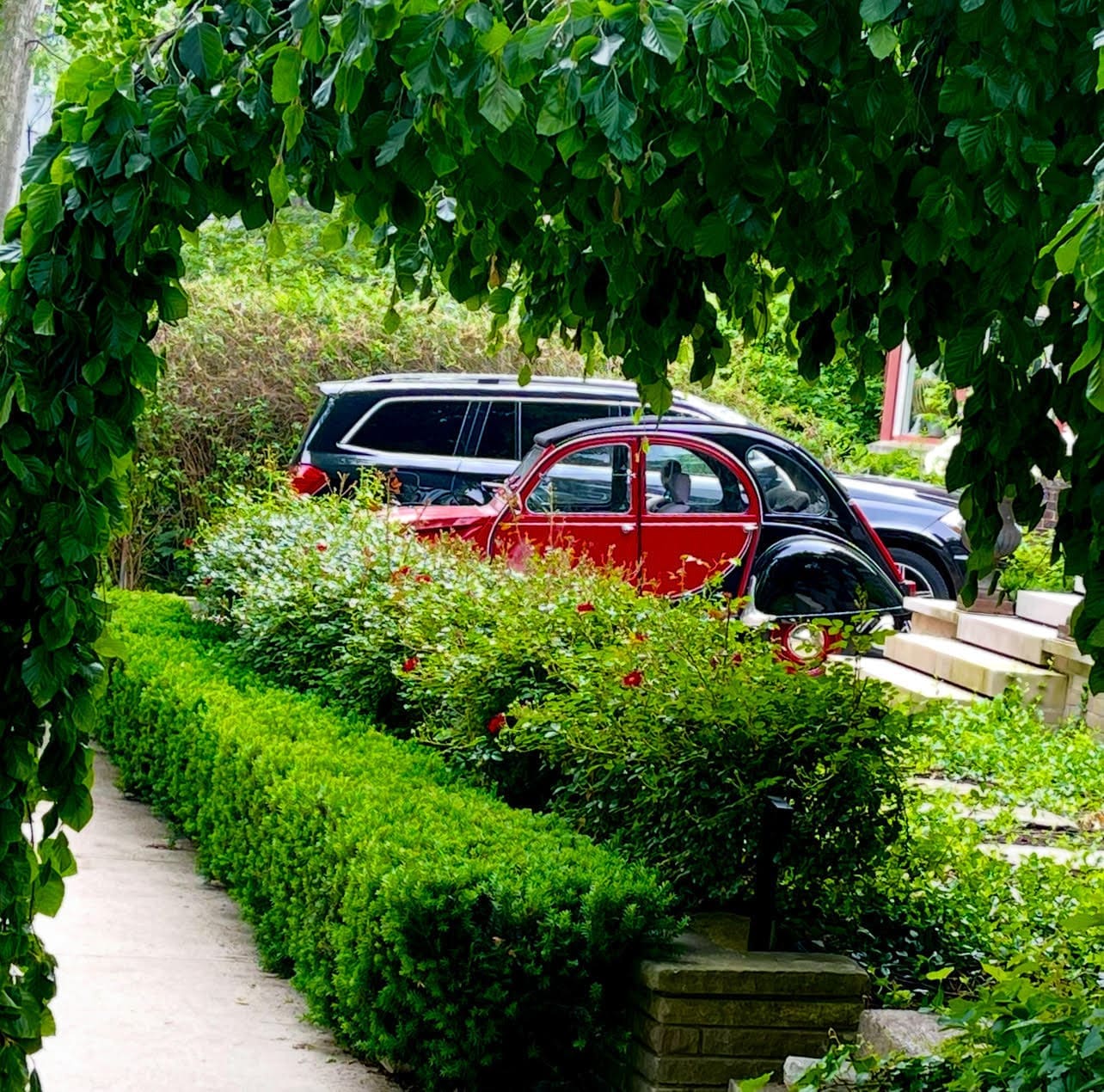 The Best Neighbourhoods in Toronto Compared to the World